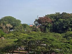 Seaside Residences (D15), Apartment #531194771